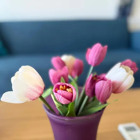 Too Coool 1 Bedroom Coralli * Protaras